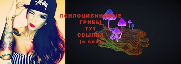 2c-b Абинск